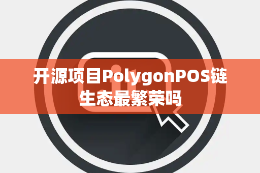 开源项目PolygonPOS链生态最繁荣吗