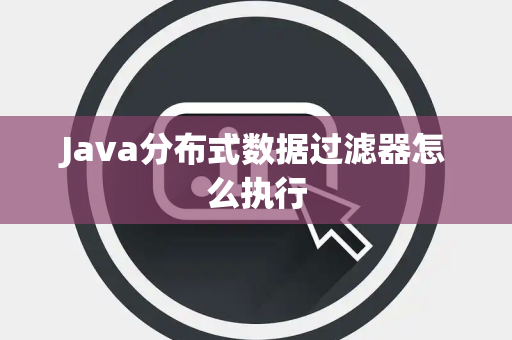 Java分布式数据过滤器怎么执行