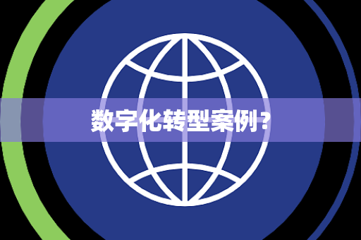 数字化转型案例？