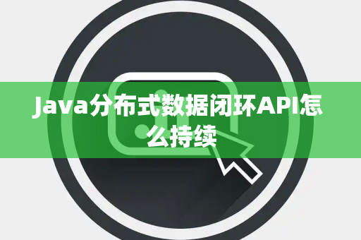 Java分布式数据闭环API怎么持续
