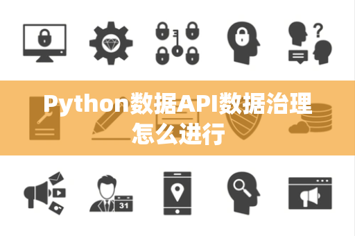 Python数据API数据治理怎么进行