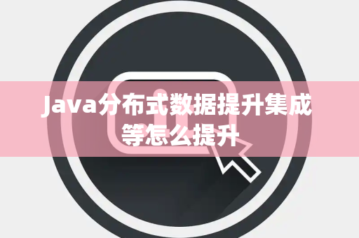 Java分布式数据提升集成等怎么提升