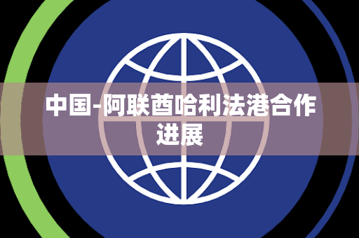 中国-阿联酋哈利法港合作进展
