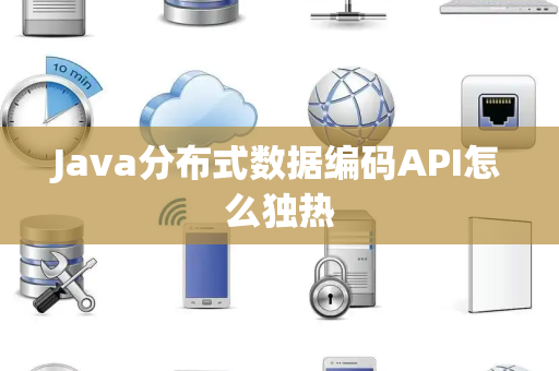 Java分布式数据编码API怎么独热