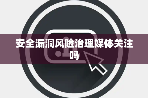 安全漏洞风险治理媒体关注吗