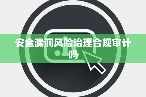 安全漏洞风险治理合规审计吗