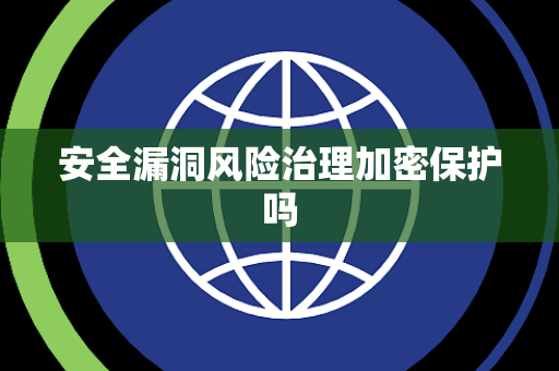 安全漏洞风险治理加密保护吗