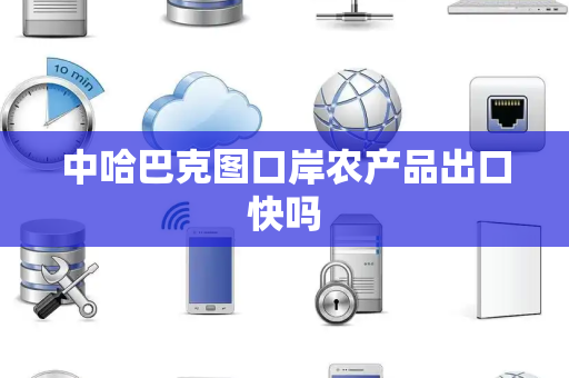 中哈巴克图口岸农产品出口快吗