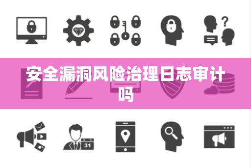 安全漏洞风险治理日志审计吗