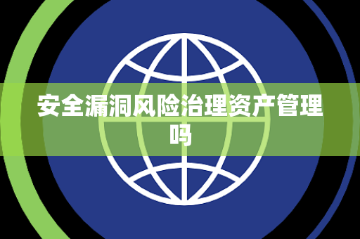 安全漏洞风险治理资产管理吗