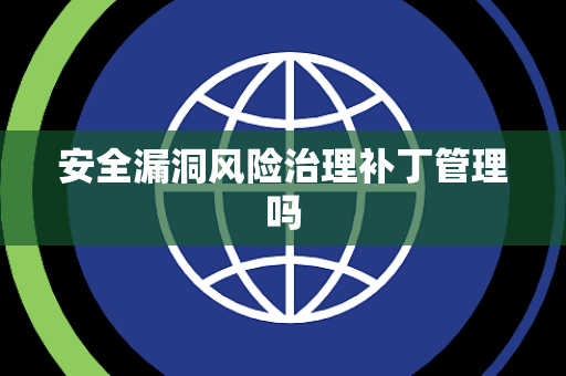 安全漏洞风险治理补丁管理吗