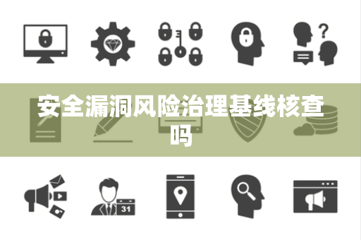 安全漏洞风险治理基线核查吗