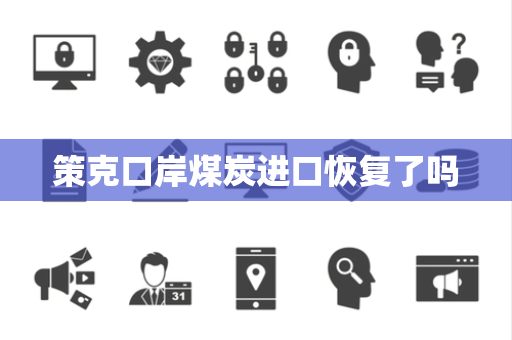 策克口岸煤炭进口恢复了吗