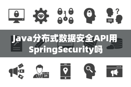 Java分布式数据安全API用SpringSecurity吗