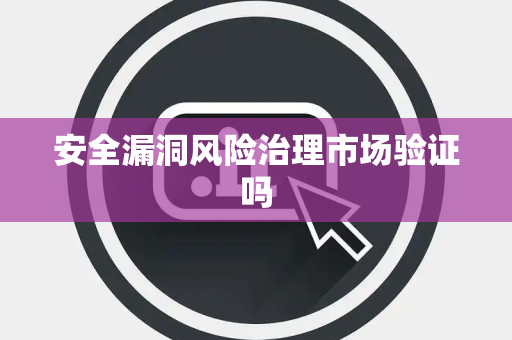 安全漏洞风险治理市场验证吗
