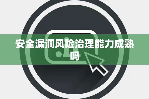安全漏洞风险治理能力成熟吗