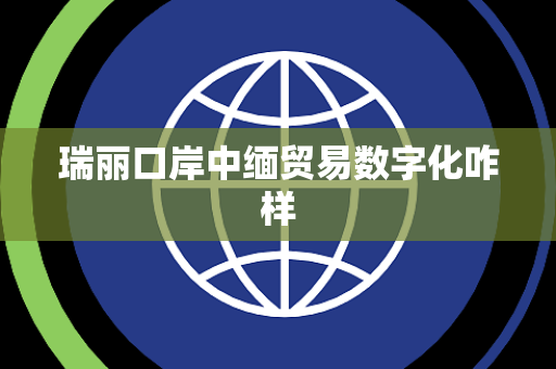 瑞丽口岸中缅贸易数字化咋样