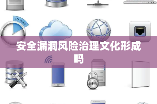 安全漏洞风险治理文化形成吗