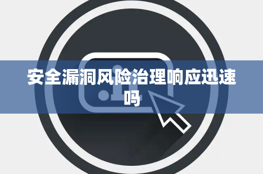 安全漏洞风险治理响应迅速吗