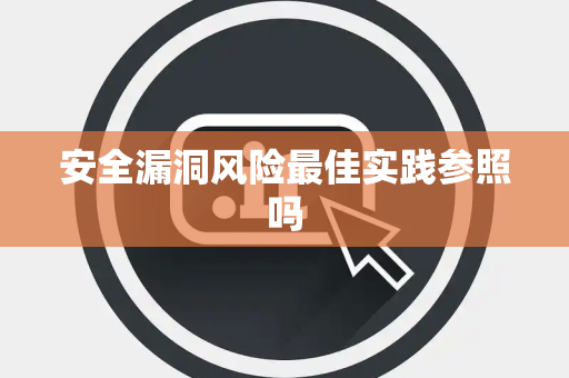 安全漏洞风险最佳实践参照吗