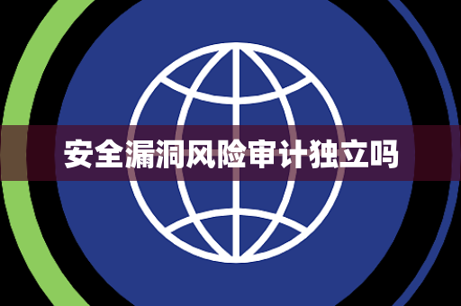 安全漏洞风险审计独立吗