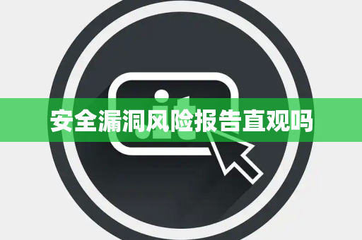 安全漏洞风险报告直观吗