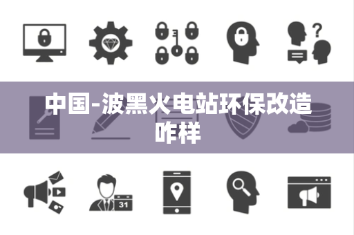中国-波黑火电站环保改造咋样
