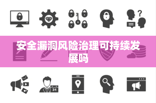 安全漏洞风险治理可持续发展吗