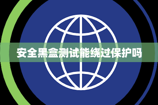 安全黑盒测试能绕过保护吗