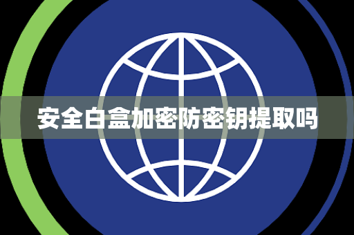 安全白盒加密防密钥提取吗