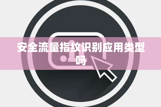 安全流量指纹识别应用类型吗