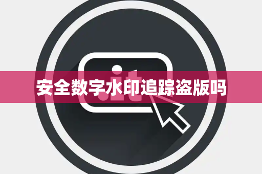 安全数字水印追踪盗版吗