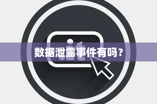 数据泄露事件有吗？