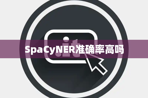 SpaCyNER准确率高吗