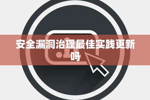 安全漏洞治理最佳实践更新吗