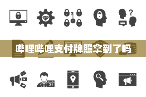 哔哩哔哩支付牌照拿到了吗
