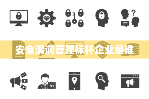 安全漏洞管理标杆企业是谁