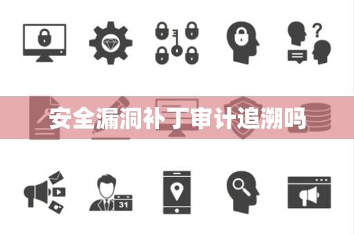 安全漏洞补丁审计追溯吗
