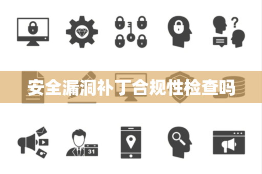 安全漏洞补丁合规性检查吗