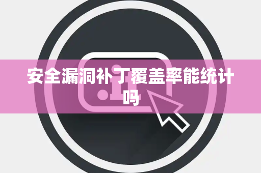 安全漏洞补丁覆盖率能统计吗