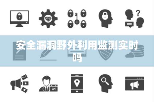 安全漏洞野外利用监测实时吗