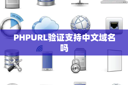 PHPURL验证支持中文域名吗