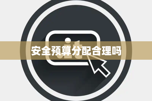 安全预算分配合理吗