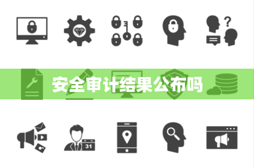 安全审计结果公布吗