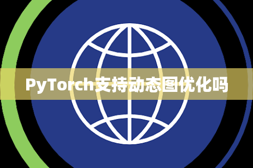PyTorch支持动态图优化吗