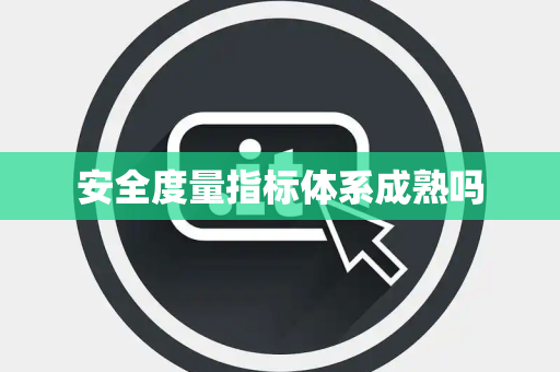 安全度量指标体系成熟吗