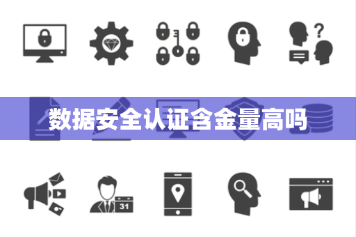 数据安全认证含金量高吗
