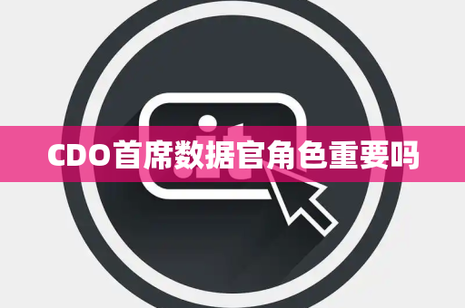 CDO首席数据官角色重要吗