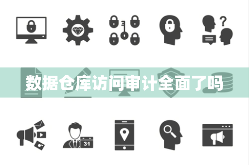 数据仓库访问审计全面了吗