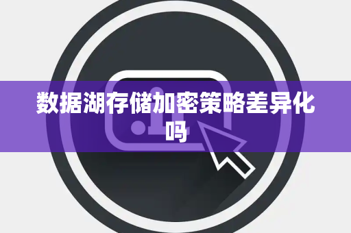 数据湖存储加密策略差异化吗
